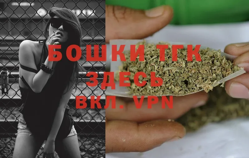 закладки  Гусев  Конопля White Widow 